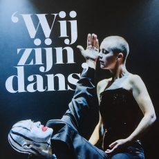 Wij Zijn Dans: Scapino